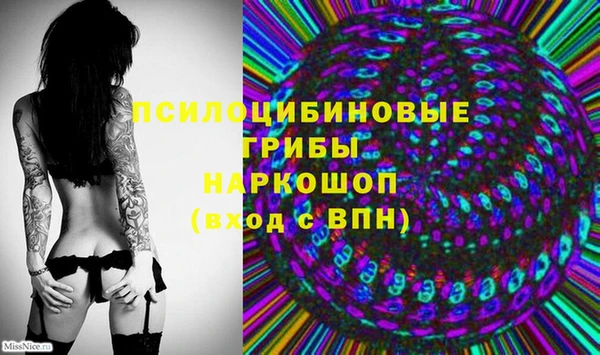 ГАЛЛЮЦИНОГЕННЫЕ ГРИБЫ Алексин