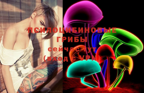 ГАЛЛЮЦИНОГЕННЫЕ ГРИБЫ Алексин