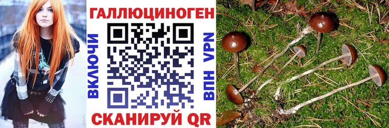 Псилоцибиновые грибы GOLDEN TEACHER  Камешково 